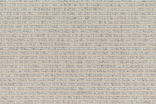 T01007243_CL