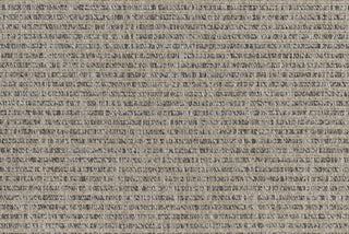 T01007244_CL