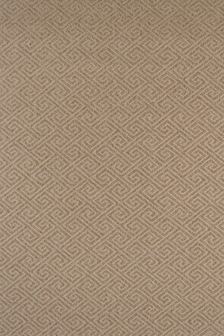 T01007265_ALT2
