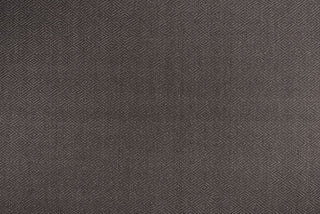T01007437_ALT2