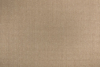 T01007445_ALT2