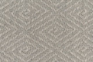 T01007446_CL