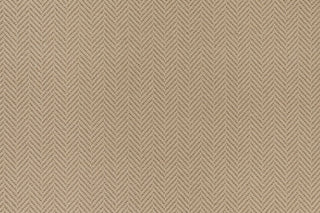 T01007843_CL