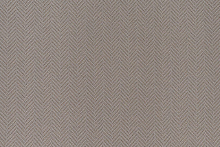 T01007845_CL