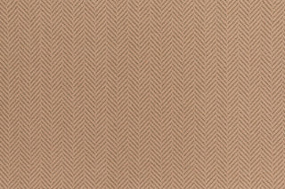 T01007846_CL