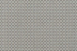 T01007904_CL