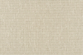 T01007959_CL