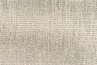 T01007960_CL