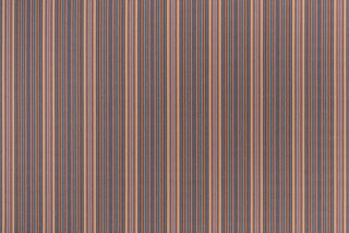 T01007982_ALT2