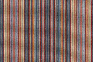 T01007982_CL