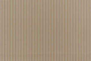T01007983_ALT2