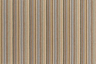 T01007983_CL