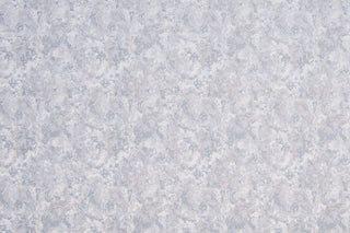 T01008073_ALT2