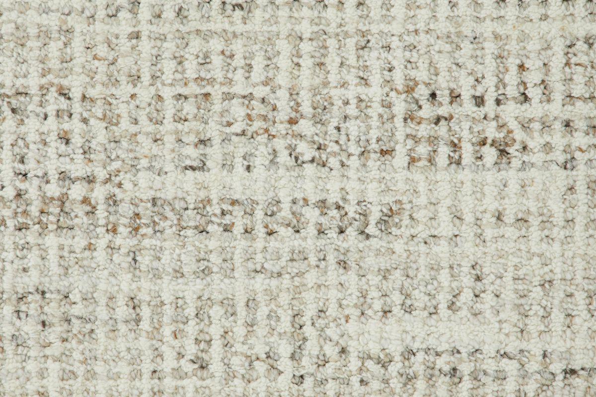 T01008184_CL