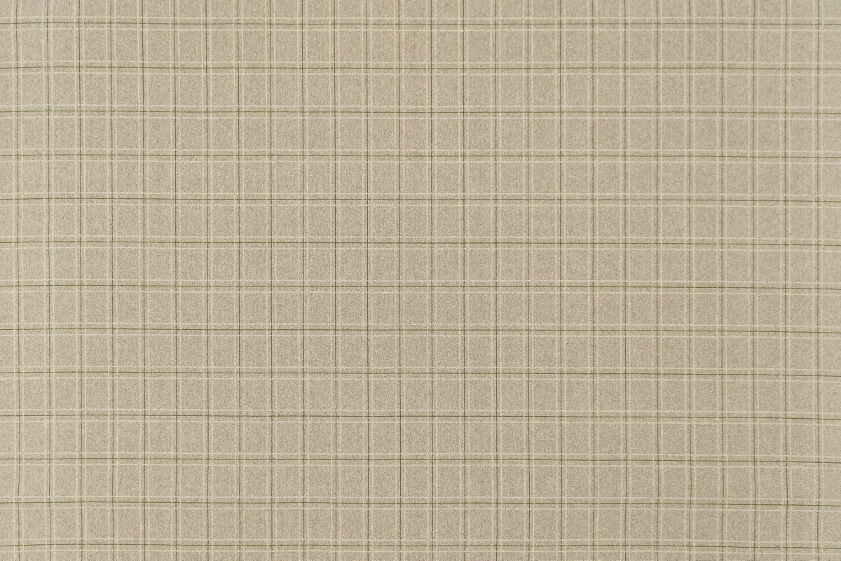 T01008251_ALT2