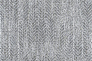 T01008508_CL