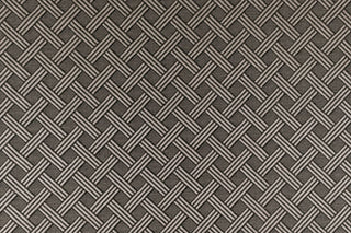 T01008609_CL