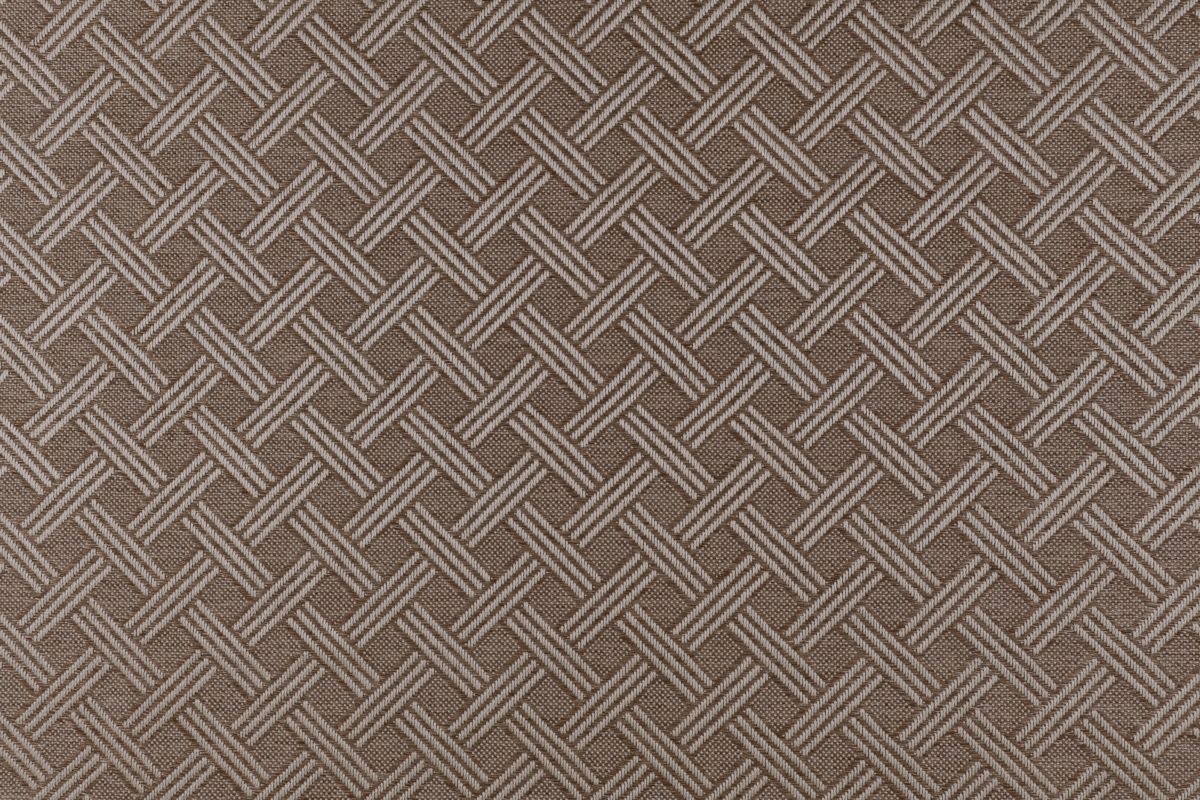 T01008610_CL