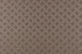T01008610_CL