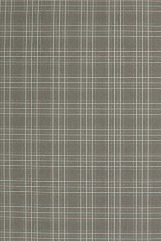 T01008789_ALT2