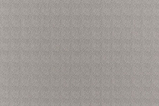 T01008947_ALT2