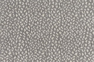 T01008947_CL