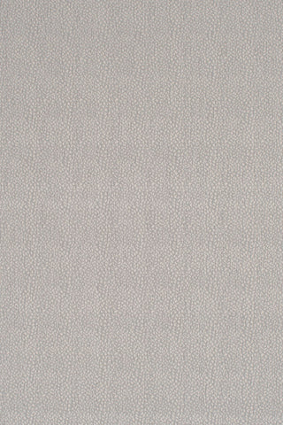 T01008949_ALT2