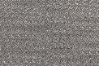 T01008950_ALT2