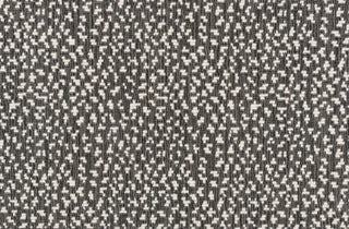 T01008950_CL
