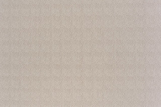 T01008955_ALT2