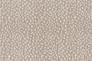 T01008955_CL