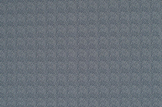 T01008956_ALT2