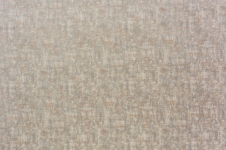 T01008996_ALT2
