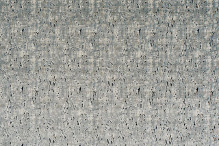 T01008997_ALT2