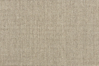 T01009105_CL