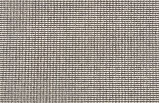 T01009106_CL