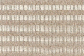 T01009108_CL