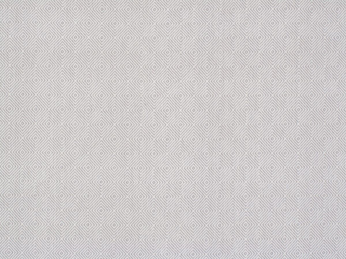 T01009163_ALT2