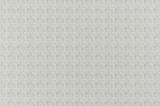 T01009292_ALT2
