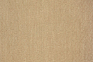 T01009295_ALT2