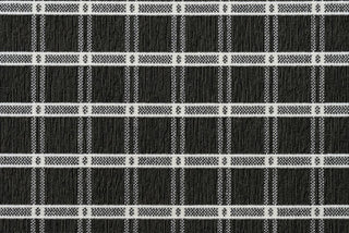 T01009305_CL
