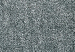 T01009324