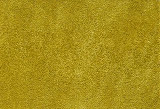 T01009325