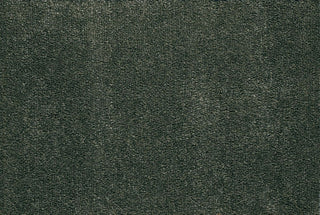T01009329