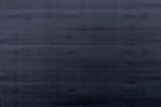 T01009330_ALT2