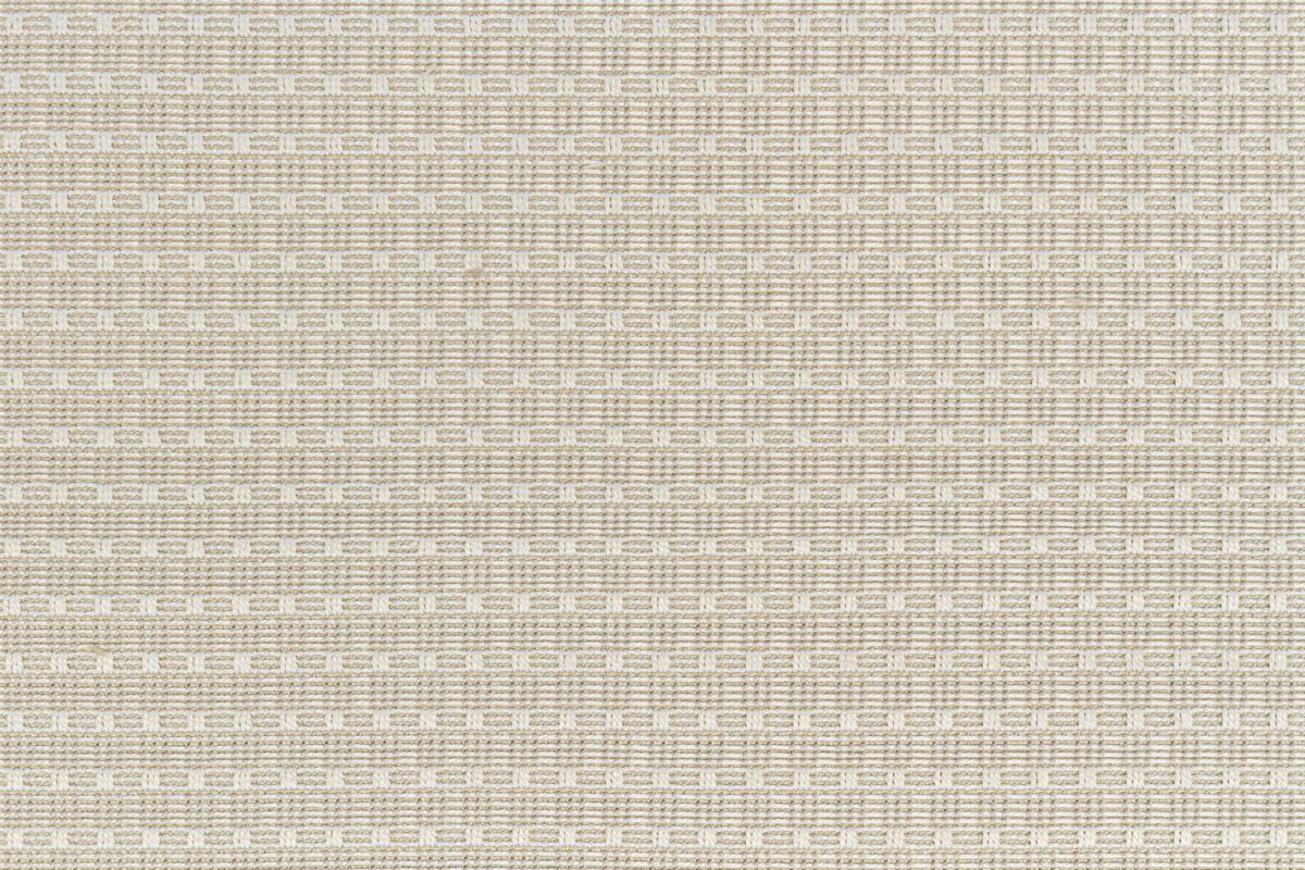 T01009355_CL