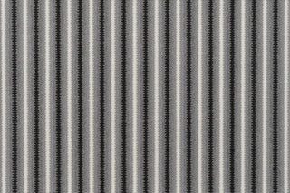 T01009403_CL
