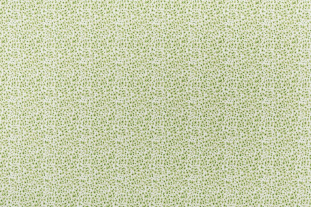 T01009413_ALT2