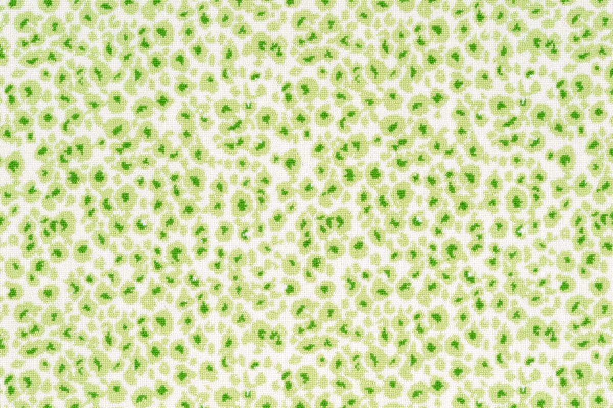 T01009413_CL