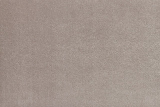 T01009606_CL